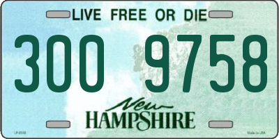NH license plate 3009758