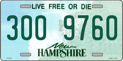 NH license plate 3009760