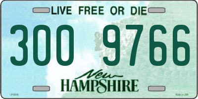 NH license plate 3009766
