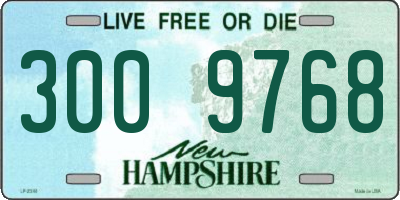 NH license plate 3009768