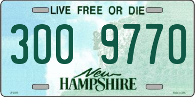 NH license plate 3009770