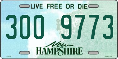 NH license plate 3009773