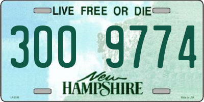NH license plate 3009774