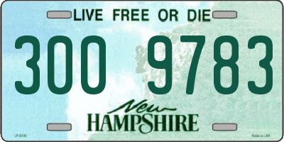 NH license plate 3009783