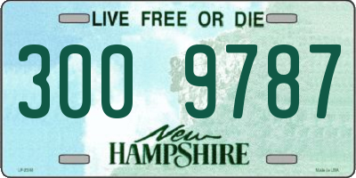 NH license plate 3009787