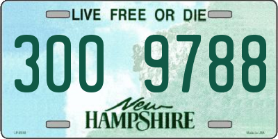 NH license plate 3009788