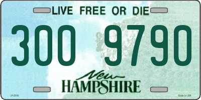 NH license plate 3009790