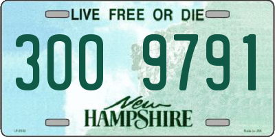NH license plate 3009791