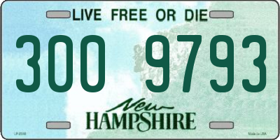 NH license plate 3009793