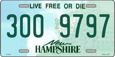 NH license plate 3009797