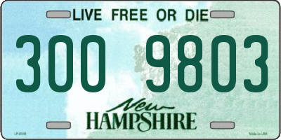 NH license plate 3009803