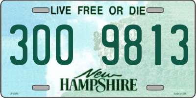 NH license plate 3009813