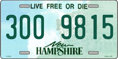 NH license plate 3009815