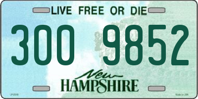 NH license plate 3009852