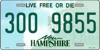 NH license plate 3009855