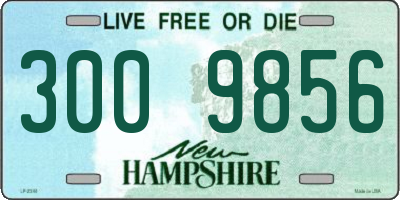 NH license plate 3009856