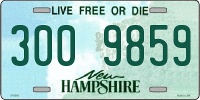 NH license plate 3009859