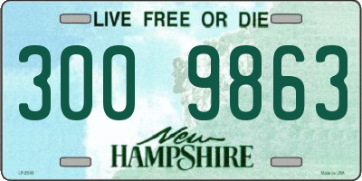 NH license plate 3009863