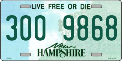 NH license plate 3009868