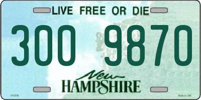 NH license plate 3009870