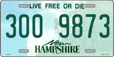 NH license plate 3009873
