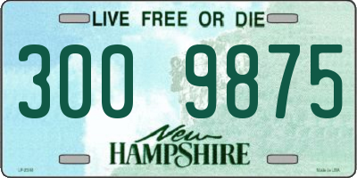 NH license plate 3009875