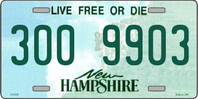 NH license plate 3009903