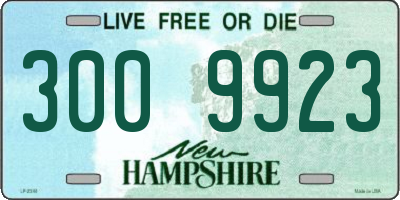 NH license plate 3009923