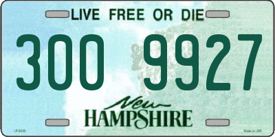 NH license plate 3009927