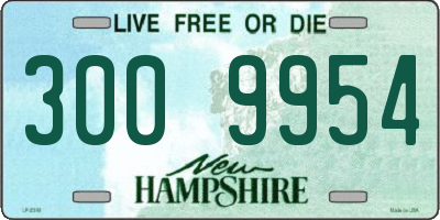 NH license plate 3009954