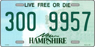 NH license plate 3009957