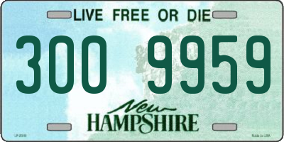 NH license plate 3009959