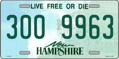 NH license plate 3009963
