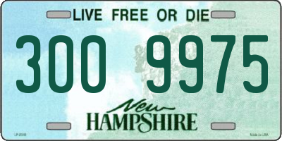 NH license plate 3009975