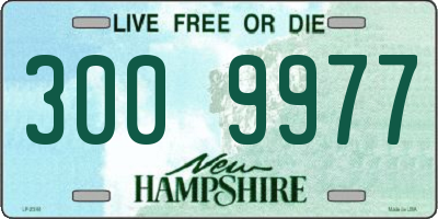 NH license plate 3009977