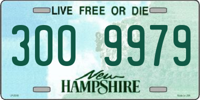 NH license plate 3009979