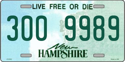 NH license plate 3009989