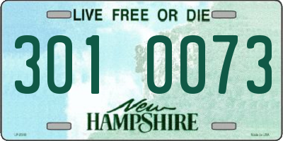 NH license plate 3010073
