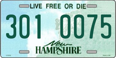 NH license plate 3010075