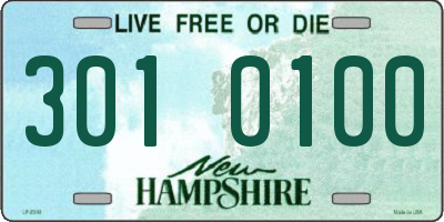NH license plate 3010100