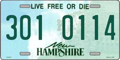 NH license plate 3010114