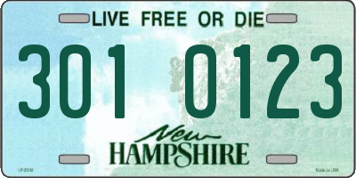 NH license plate 3010123