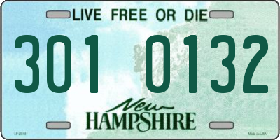 NH license plate 3010132