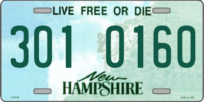 NH license plate 3010160