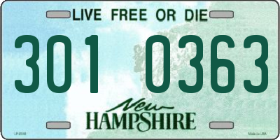 NH license plate 3010363