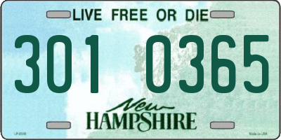NH license plate 3010365