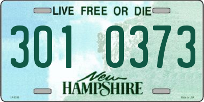 NH license plate 3010373