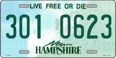 NH license plate 3010623
