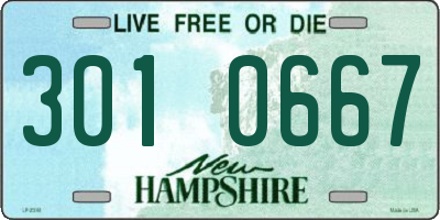 NH license plate 3010667