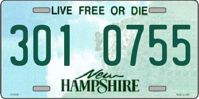 NH license plate 3010755